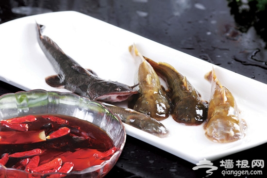 夏季不妨多吃鱼 北京吃鱼去哪里？[墙根网]