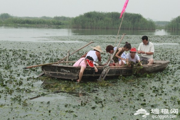 北京自驾东平湖 水浒故里过周末[墙根网]