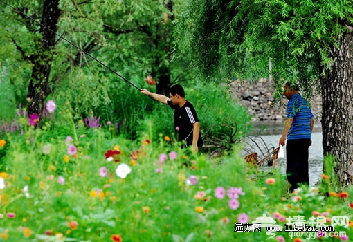垂钓 摄影:李志明 垂钓 摄影:李志明