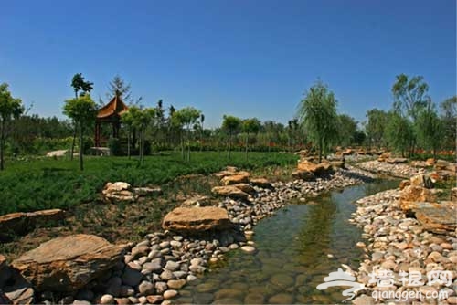 京郊南海子 北京最大的湿地公园