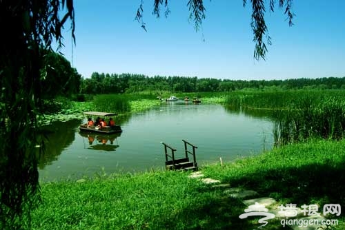 周末休闲游 北京湿地公园游玩5大好去处