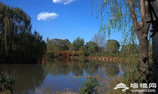 周末休闲游 北京湿地公园游玩5大好去处