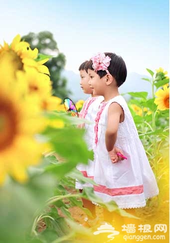 北京月牙湾游玩全攻略 陶醉在花香四溢中(图)