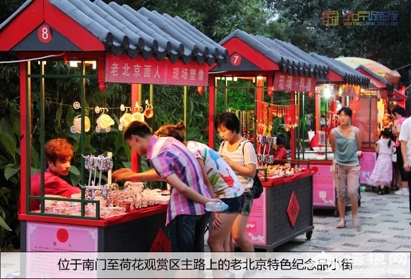 别有一番风味 八月圆明园赏残荷游灯会