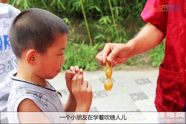 别有一番风味 八月圆明园赏残荷游灯会