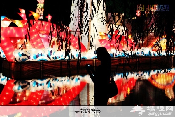 别有一番风味 八月圆明园赏残荷游灯会