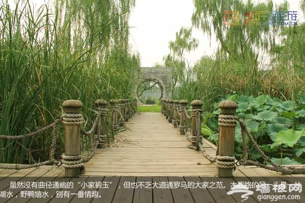 稻香湖湿地公园 许你一个宁静夏日(图)