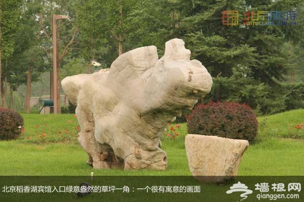 稻香湖湿地公园 许你一个宁静夏日(图)