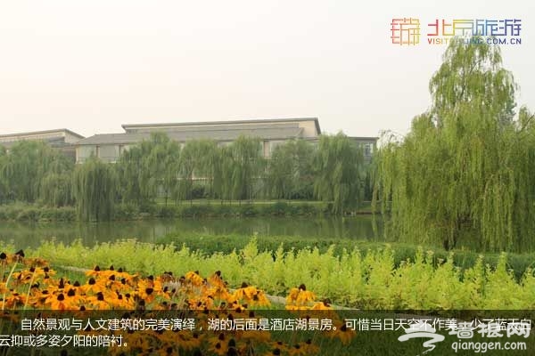稻香湖湿地公园 许你一个宁静夏日(图)