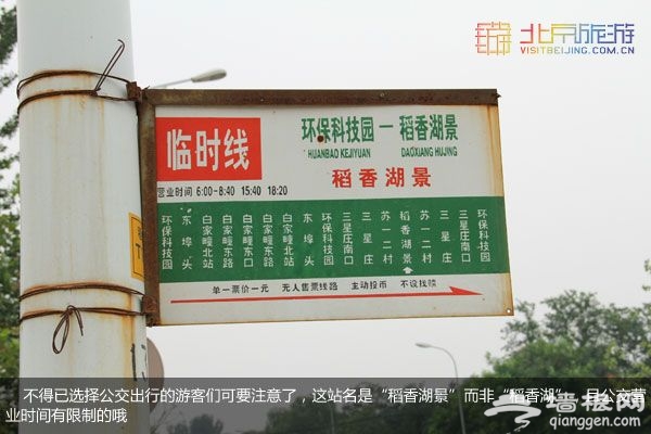稻香湖湿地公园 许你一个宁静夏日(图)