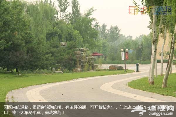 稻香湖湿地公园 许你一个宁静夏日(图)