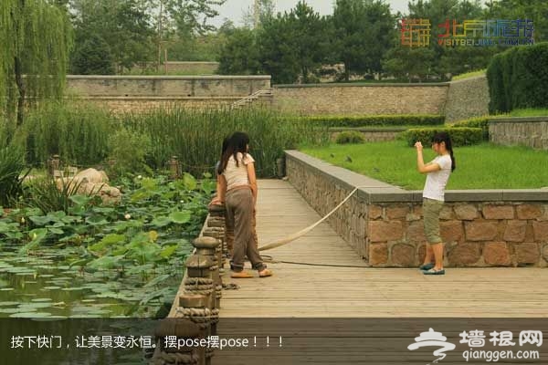 稻香湖湿地公园 许你一个宁静夏日(图)