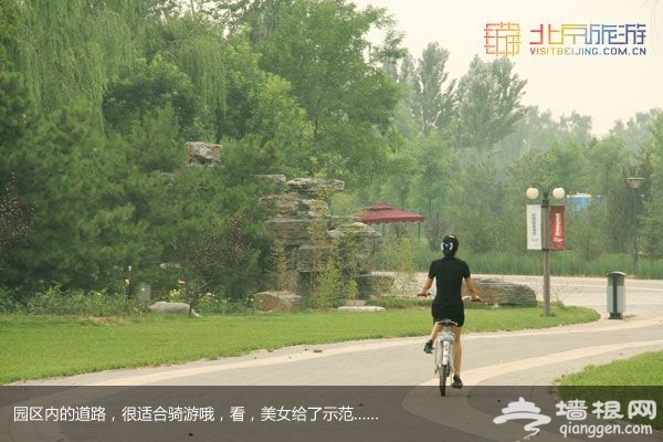 稻香湖湿地公园 许你一个宁静夏日(图)
