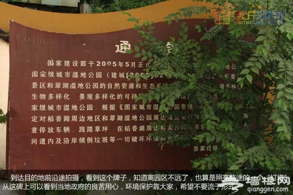 稻香湖湿地公园 许你一个宁静夏日(图)