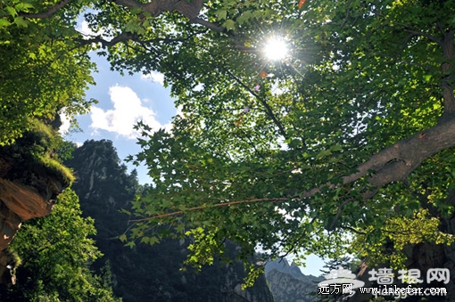 阳光穿过树林 摄影:东风 阳光穿过树林 摄影:东风