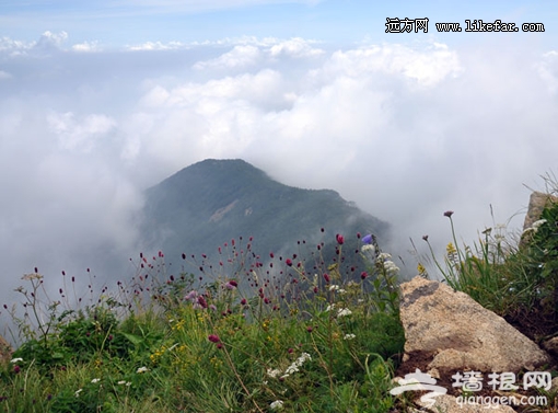 山顶迷雾 摄影:东风 山顶迷雾 摄影:东风