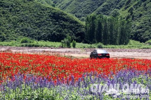 密云太师屯车道峪生态园即将开园[墙根网]