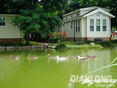 北京丰台南苑汽车露营公园投入试运营[墙根网]