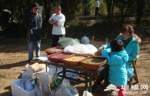 京郊四大农场租赁推荐 快乐农夫醉享周末