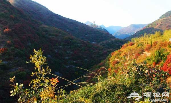 从雾灵山到十八潭 京郊自驾游寻秋之美(图)