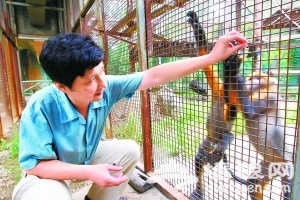 北京动物园里的“猴保姆”