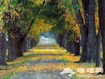 秋游北京城 4大最迷人美景推荐