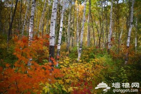 北京怀柔：燕山自然风景区邀您金秋行[墙根网]