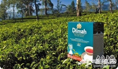 香浓丝滑？一起解开香港丝袜奶茶之谜