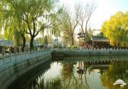 四大“私”推荐 “窥视”北京秋季之美