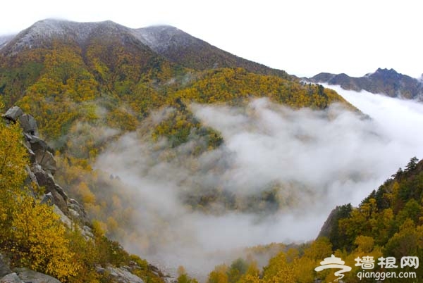 一览秋日美 京郊爬山赏红叶6大好去处(图)