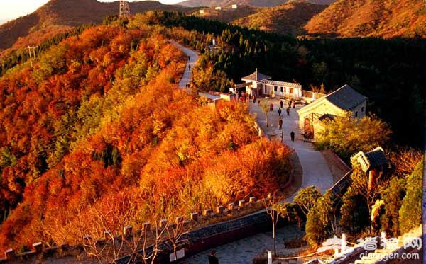 一览秋日美 京郊爬山赏红叶6大好去处(图)