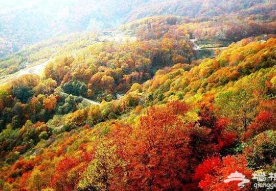 一览秋日美 京郊爬山赏红叶6大好去处