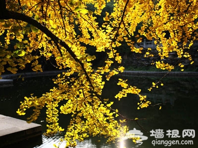 北京秋天美丽角落