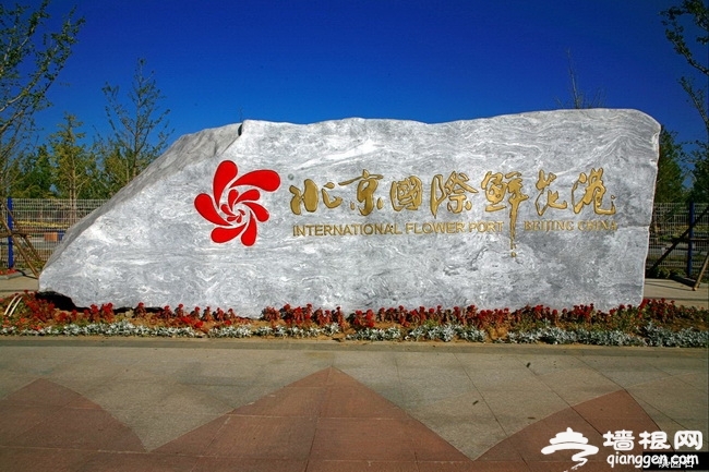 墙根网“魅力金秋，免费郊游”第一期（国际鲜花港）[墙根网]