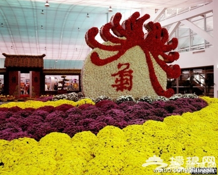 墙根网“魅力金秋，免费郊游”第一期（国际鲜花港）[墙根网]