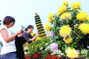 北京植物园第十九届市花展举办