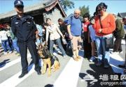 警犬首次亮相颐和园 助其国庆安保