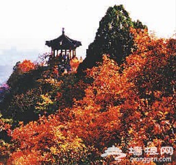 第23届香山红叶文化节2011年10月12日开幕