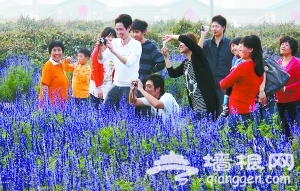 今年“十一”京郊民俗户赚得盆满钵满