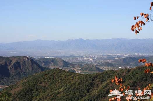 京郊10月绚烂红叶 静赏秋景五大宝地(图)
