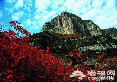 仙台山