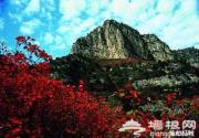 仙台山赏红 比北京香山多20倍的红叶