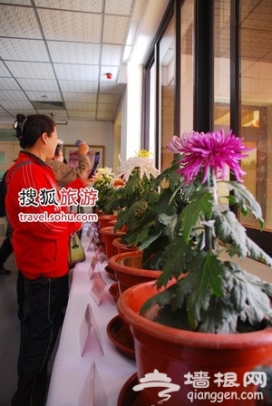 10月京城秋游热门活动与实用攻略[墙根网]
