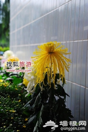 10月京城秋游热门活动与实用攻略[墙根网]