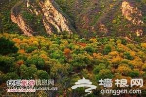 10月京城秋游热门活动与实用攻略[墙根网]