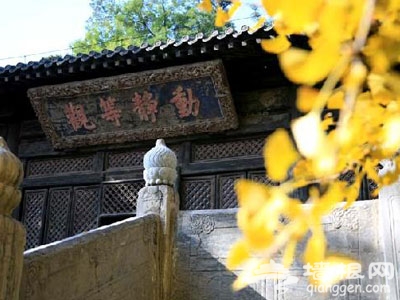 秋意正浓 京城古寺赏银杏