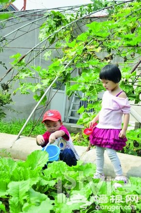 白领争当“都市农民” 菜园子搞“灰机”[墙根网]