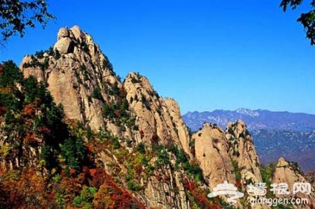 雾灵山：独辟蹊径赏红叶 美煞香山