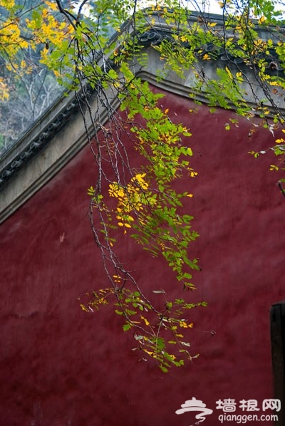 上方山赏山赏树赏秋 京郊秋游必选之地