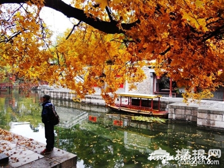 新浪旅游配图：北京美丽的秋景 摄影：观海听涛